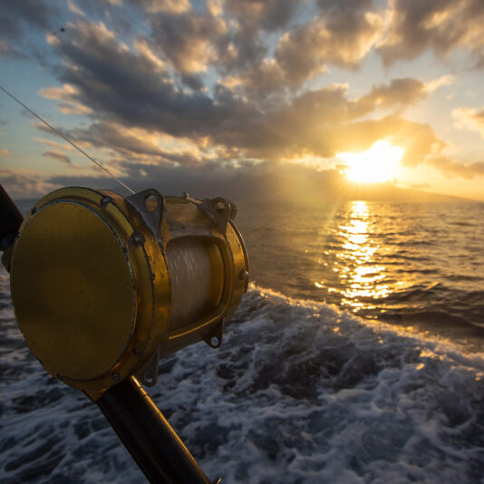 Fishing Safari